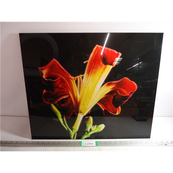 Lily Print-23.5"x20"