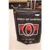 Image 1 : Ottawa Senators Hockey Pennant - 33" x 22"