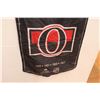 Image 3 : Ottawa Senators Hockey Pennant - 33" x 22"
