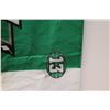 Image 2 : Saskatchewan Roughriders Pilsner Flag (58"x35")
