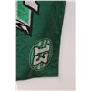 Image 3 : Saskatchewan Roughriders Pilsner Flag (58"x35")