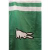 Image 3 : Saskatchewan Roughriders Pilsner Flag (58"x35")
