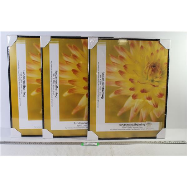 (3) Fundamental Framing - Frames w/Glass (16" x 20")