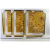 Image 1 : (3) Fundamental Framing - Frames w/Glass (16" x 20")