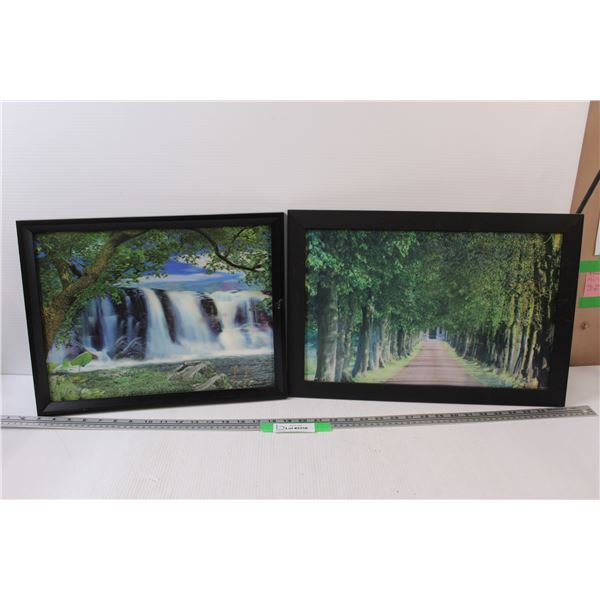 (2) Holographic Nature Scene Pictures - 19" x 13" & 16" x 13"