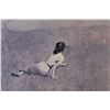 Image 2 : *Framed Print - Lady Laying in Farm Field (32 1/4" x 24 1/4")