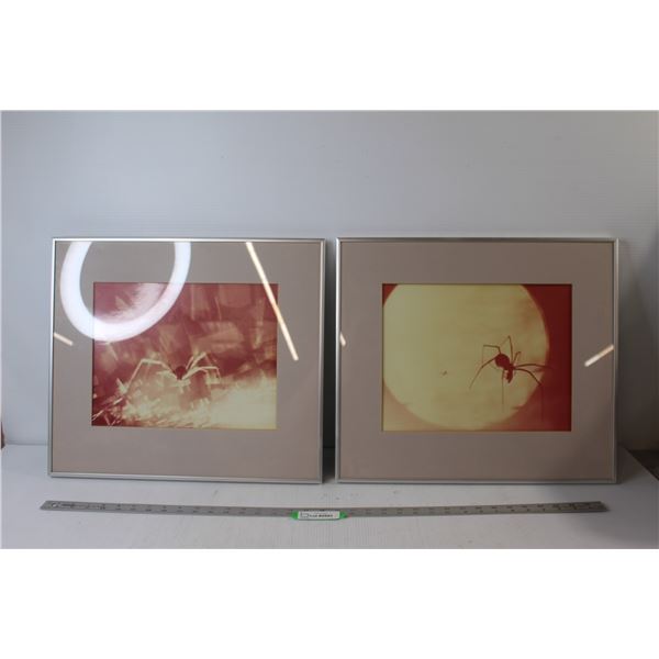 Spider Art - Each Measures 19 1/2" x 17"