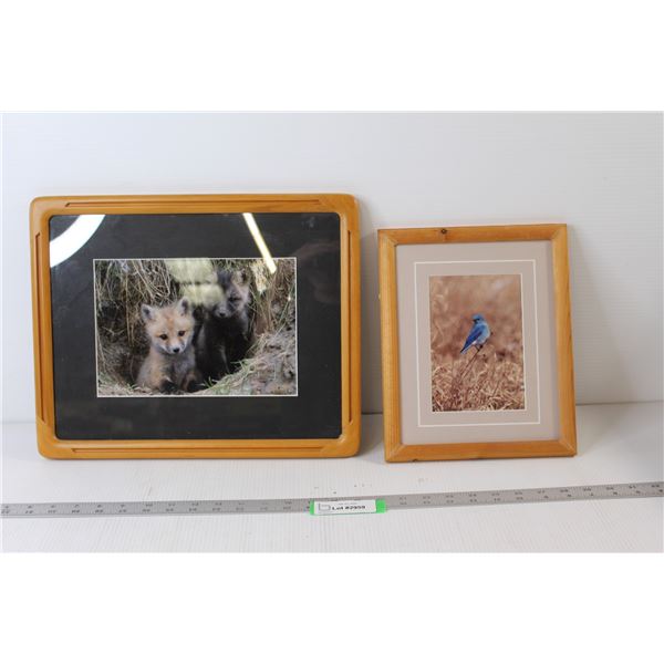 Fox Picture - 15 1/2" x 12 1/2", Blue Jay Picture - 9" x 11"