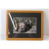 Image 2 : Fox Picture - 15 1/2" x 12 1/2", Blue Jay Picture - 9" x 11"