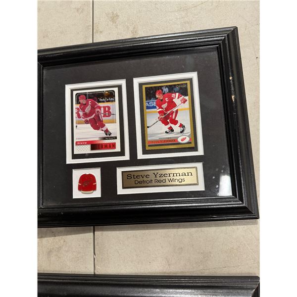 Steve Eiserman Detroit Red Wings collectible