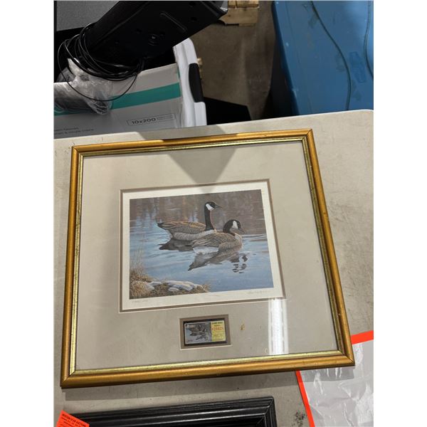 Evening reflections, Canada geese, print duck unlimited
