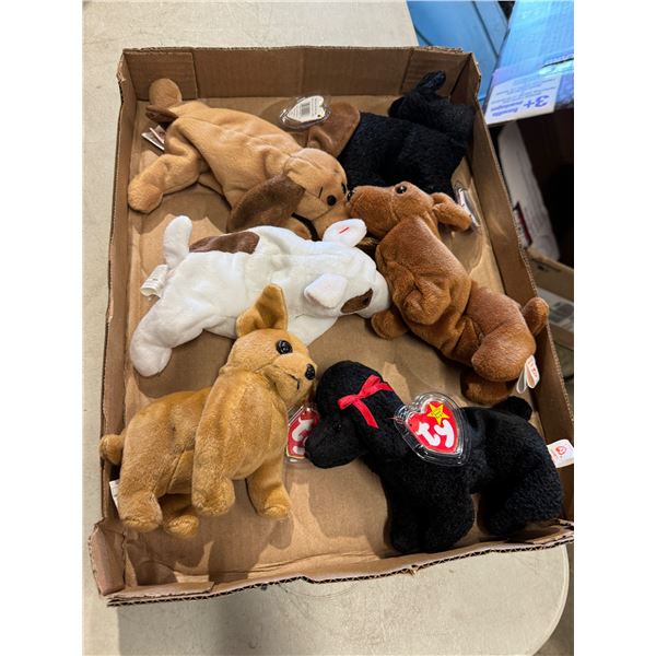 TY beanie bears