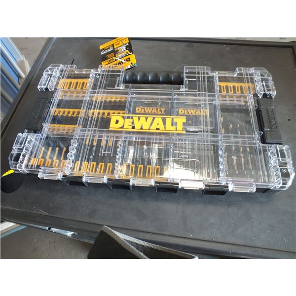 Dewalt 100pc Drill & Screwdriver Bit set