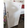 Image 1 : Woods Stand Up Freezer