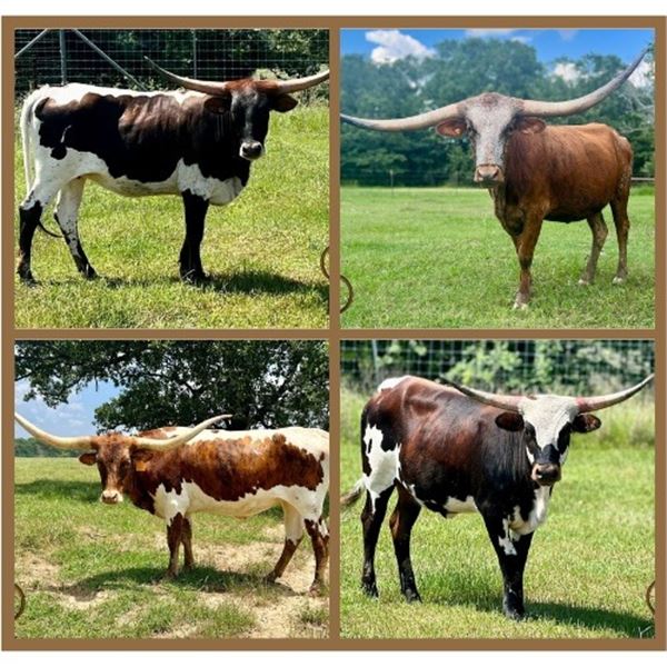 Circle Double J Ranch-Edgewood, TX LOT OF 4