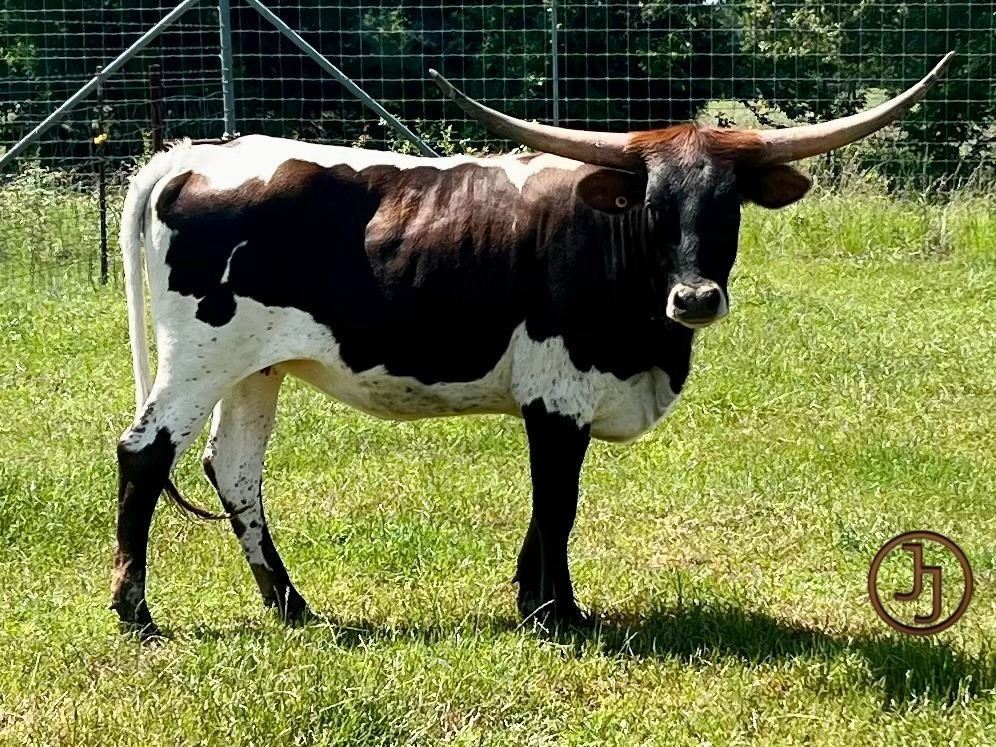 Circle Double J Ranch-Edgewood, TX LOT OF 4