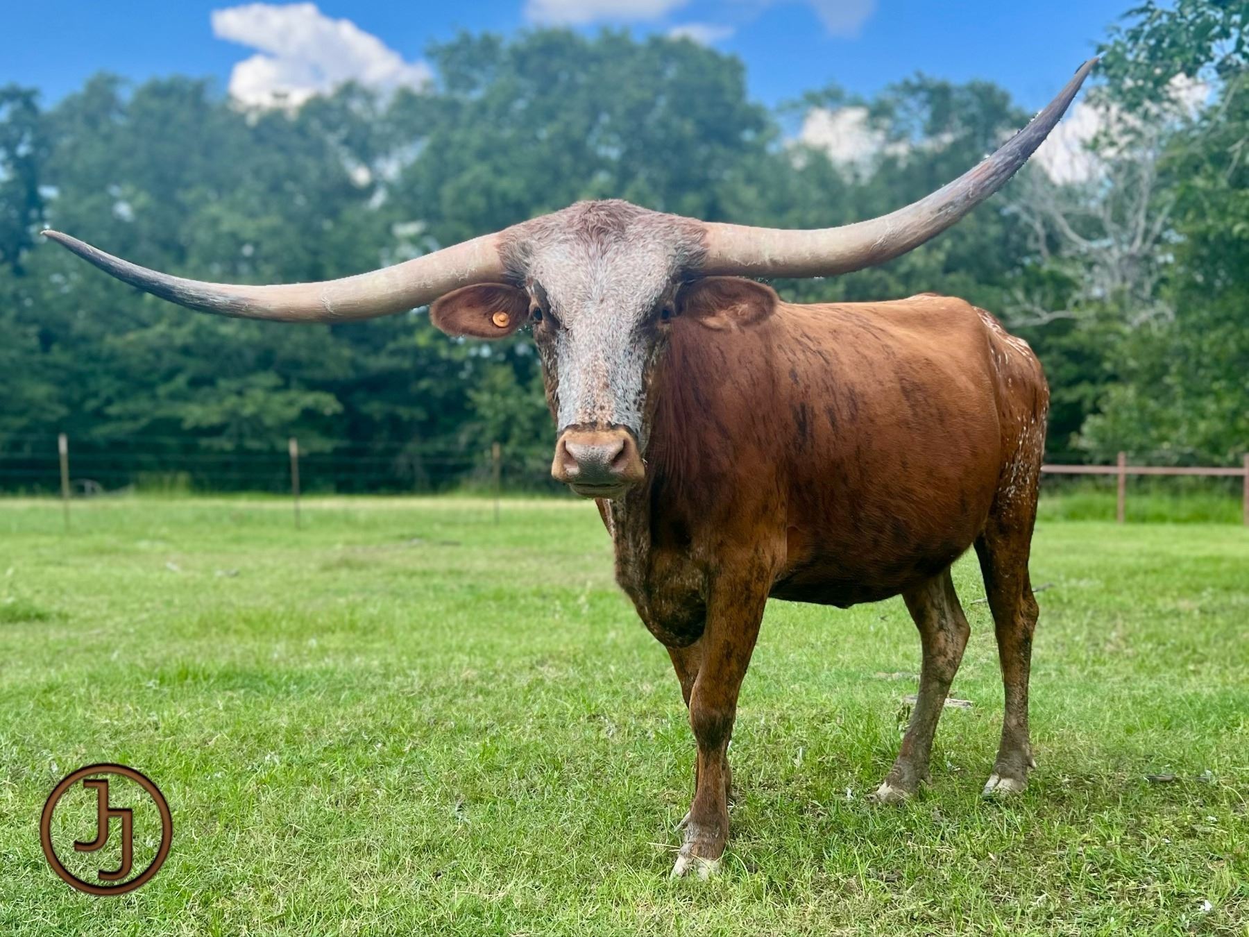 Circle Double J Ranch-Edgewood, TX LOT OF 4