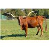 Image 2 : LaPoint Longhorn Ranch-Charolette, MI LOT OF 4