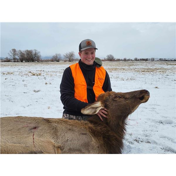 Utah Private Land Cow Elk 3D, 1H