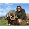 Image 2 : 5 - DAY IBERIAN MOUFLON SHEEP HUNT FOR 2 HUNTERS  (Includes trophy fee for mouflon up to 185 CIC)"