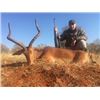 Image 5 : 3-DAY IMPALA, WARTHOG, BABOON & DUIKER HUNT FOR 1 HUNTER IN SOUTH AFRICA WITH CHASSEURS DE MOCAMBIQU
