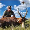 Image 2 : 3-DAY BLESBUCK & BLACK WILDEBEEST HUNT AND 2-DAYS OF FISHING FOR 1 HUNTER IN SOUTH AFRICA
