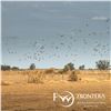 Image 2 : 4-DAY/3-NIGHT 1X1 HIGH VOLUME DOVE HUNT FOR 4 HUNTERS
