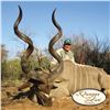 Image 2 : 7-DAY KUDU (UP TO 52"), GEMSBUCK, ZEBRA & BLUE WILDEBEEST FOR 2 HUNTERS
