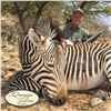 Image 3 : 7-DAY KUDU (UP TO 52"), GEMSBUCK, ZEBRA & BLUE WILDEBEEST FOR 2 HUNTERS