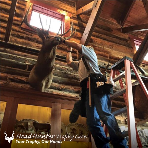 TROPHY ROOM CLEANING