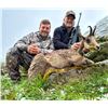 Image 2 : 4-DAY CANTABRIAN CHAMOIS HUNT FOR 1 HUNTER IN THE CANTABRIAN MOUNTAINS OF SPAIN
