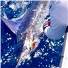 Image 3 : 5-DAY/4-NIGHT LODGING FOR 6 PEOPLE IN CABO - 2-DAYS FISHING