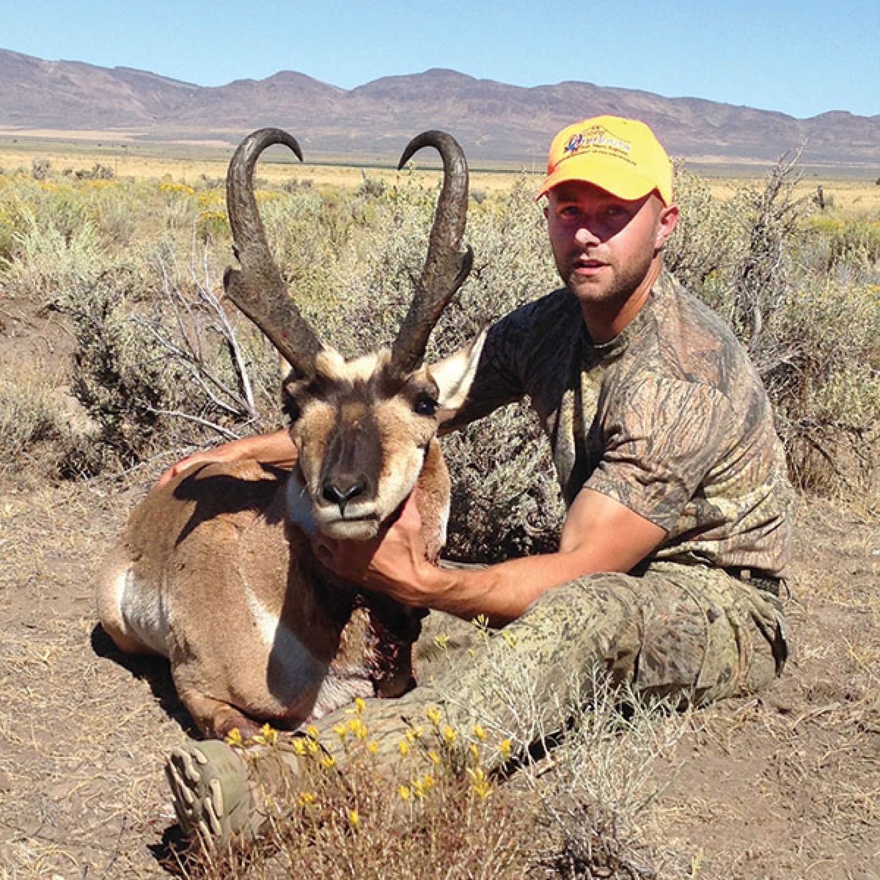 2025 OREGON SPECIAL PRONGHORN ANTELOPE AUCTION TAG 55108712 1