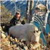 Image 2 : 12-DAY MOUNTAIN GOAT IN BRITISH COLUMBIA FOR 1 HUNTER