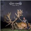 Image 2 : 5-DAY NEW ZEALAND RED STAG HUNT FOR 1 HUNTER AND 1 NON-HUNTER (Trophy fee for 1 red stag scoring up