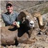 Image 5 : CALIFORNIA DESERT BIGHORN SHEEP (Open-Zone Tag)