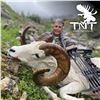 Image 2 : 8-DAY DALL/FANNIN SHEEP HUNT IN THE YUKON