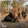 Image 3 : 7-DAY SABLE HUNT IN ZAMBIA FOR 1 HUNTER AND 1 NON-HUNTER
