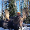 Image 2 : WYOMING GOVERNOR’S SHIRAS MOOSE LICENSE