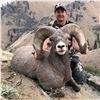 Image 2 : STATE OF WASHINGTON CALIFORNIA BIGHORN SHEEP