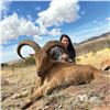 Image 2 : 5 - DAY AOUDAD SHEEP HUNT ON THE WILLIAMS RANCH IN TEXAS FOR 1 HUNTER