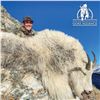 Image 2 : COLORADO ROCKY MOUNTAIN GOAT LICENSE