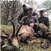Image 2 : 4-DAY PYRENEAN CHAMOIS HUNT FOR 2 HUNTERS AND 2 NON-HUNTERS