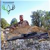 Image 2 : 5-DAY ARIZONA MOUNTAIN LION HUNT WITH HOUNDS FOR 1 HUNTER