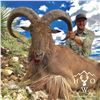 Image 1 : 3 1/2-DAY AOUDAD HUNT FOR 1 HUNTER IN WEST TEXAS