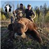 Image 2 : 5-DAY SPRING BEAR HUNT IN BC FOR 1 HUNTER