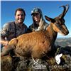 Image 2 : 5-DAY CANTABRIAN CHAMOIS HUNT FOR 1 HUNTER & 1 NON-HUNTER