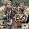 3- DAY IBERIAN MOUFLON HUNT FOR 2 HUNTERS (Trophy fee for 2 Iberian mouflon included)