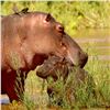Image 2 : 5-DAY/5-NIGHT EXCLUSIVE “BIG 5” PHOTO SAFARI FOR 2 PEOPLE WITH LUXURY LODGING
