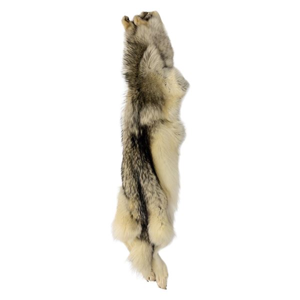 WOLF HIDE